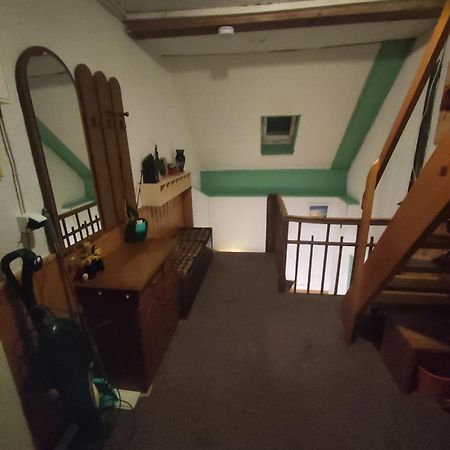 Kleine Gemuetliche Wohnung Zwickau Zewnętrze zdjęcie