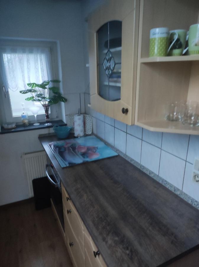Kleine Gemuetliche Wohnung Zwickau Zewnętrze zdjęcie