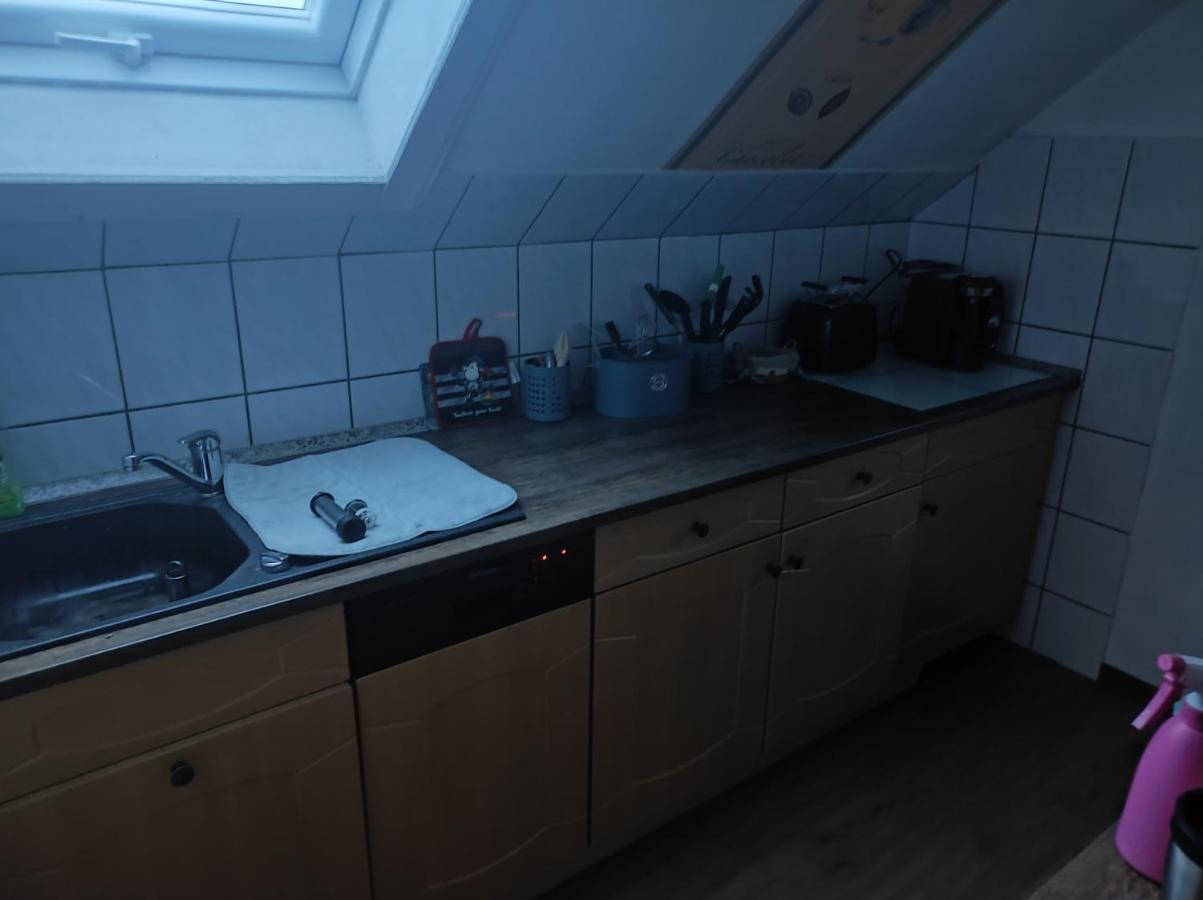 Kleine Gemuetliche Wohnung Zwickau Zewnętrze zdjęcie